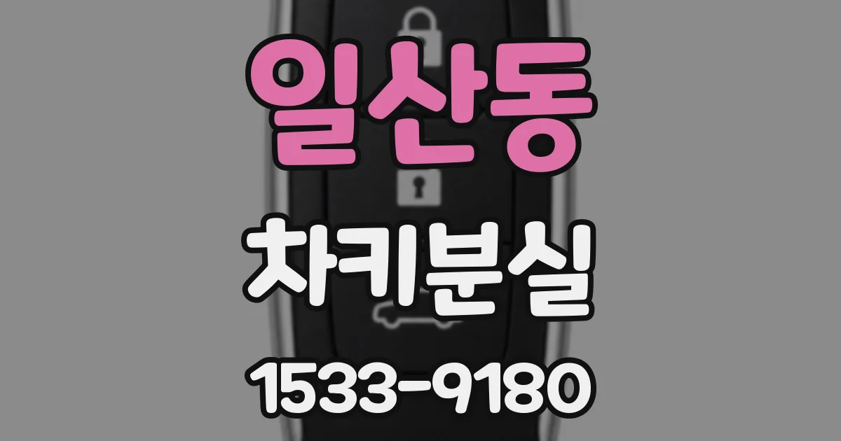 일산동 차키분실