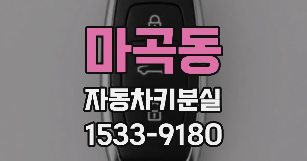 마곡동 자동차키분실