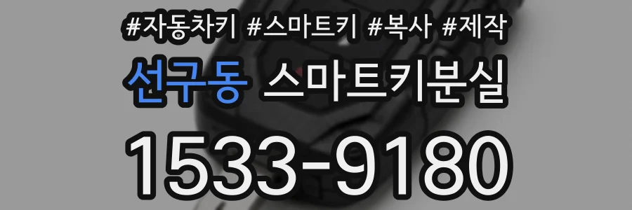 선구동 스마트키분실