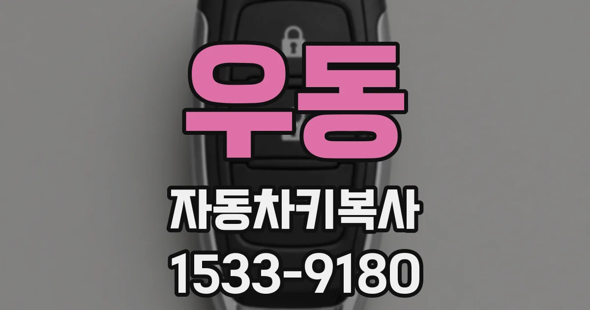 우동 자동차키복사