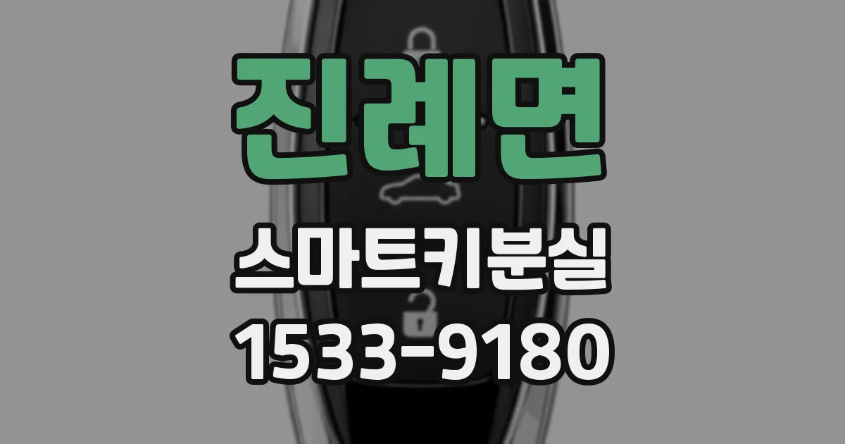 진례면 스마트키분실