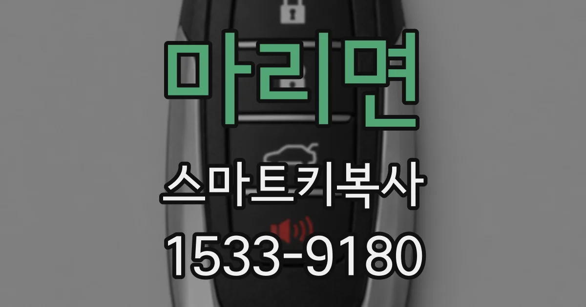 마리면 스마트키복사