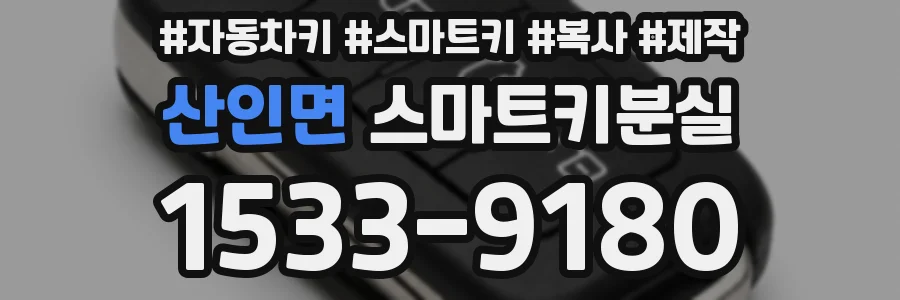 산인면 스마트키분실