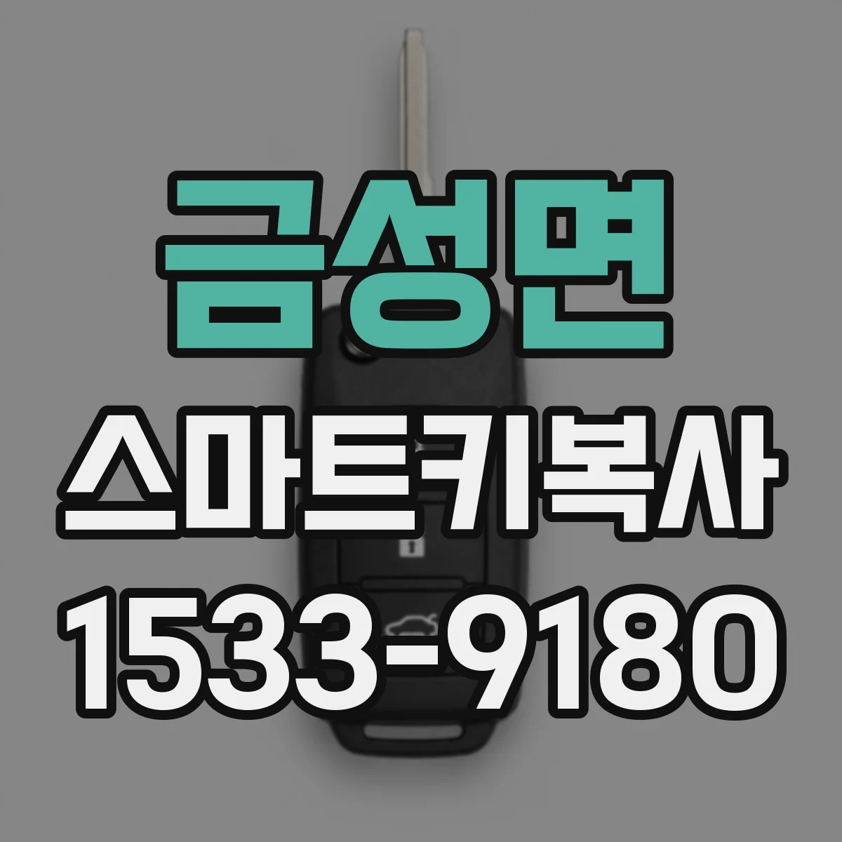 금성면 스마트키복사