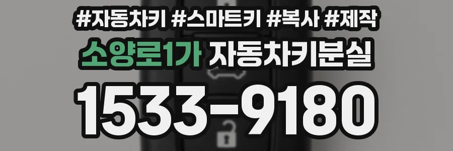 소양로1가 자동차키분실