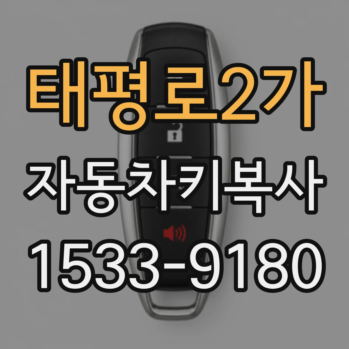 태평로2가 자동차키복사