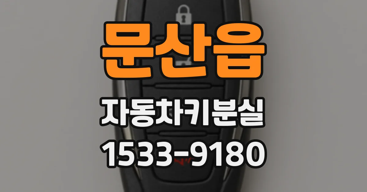 문산읍 자동차키분실