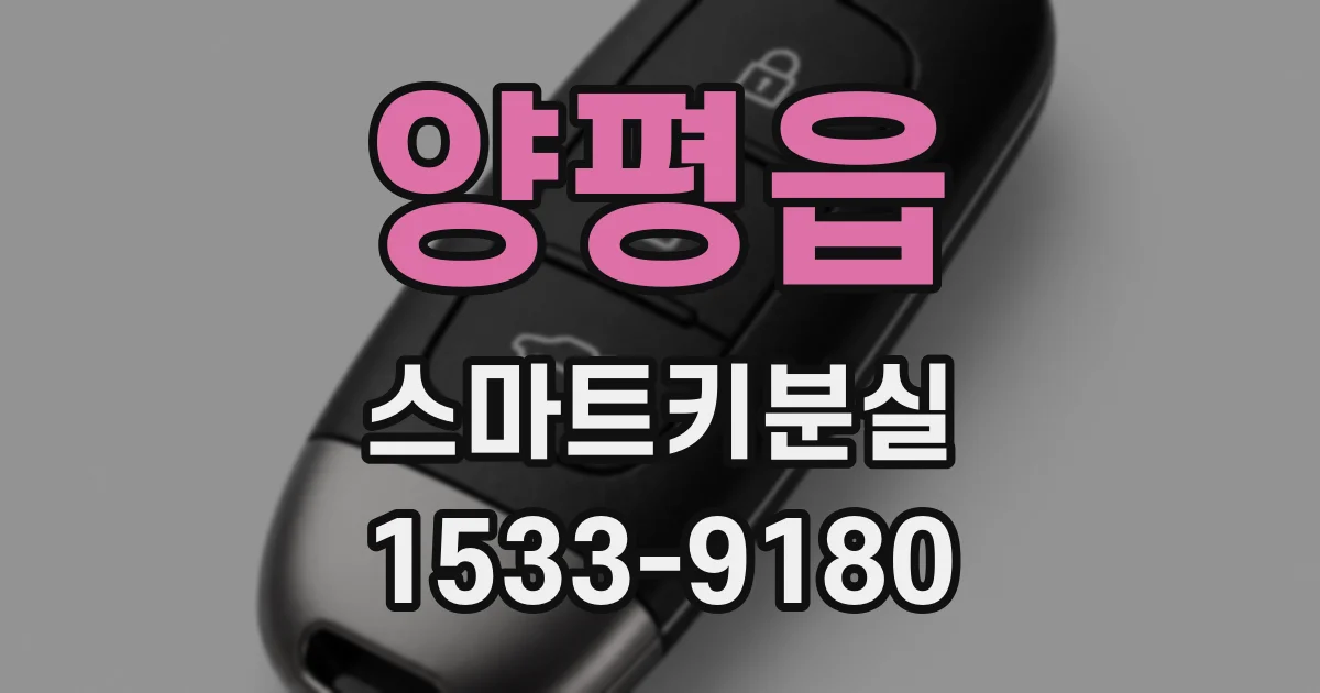 양평읍 스마트키분실