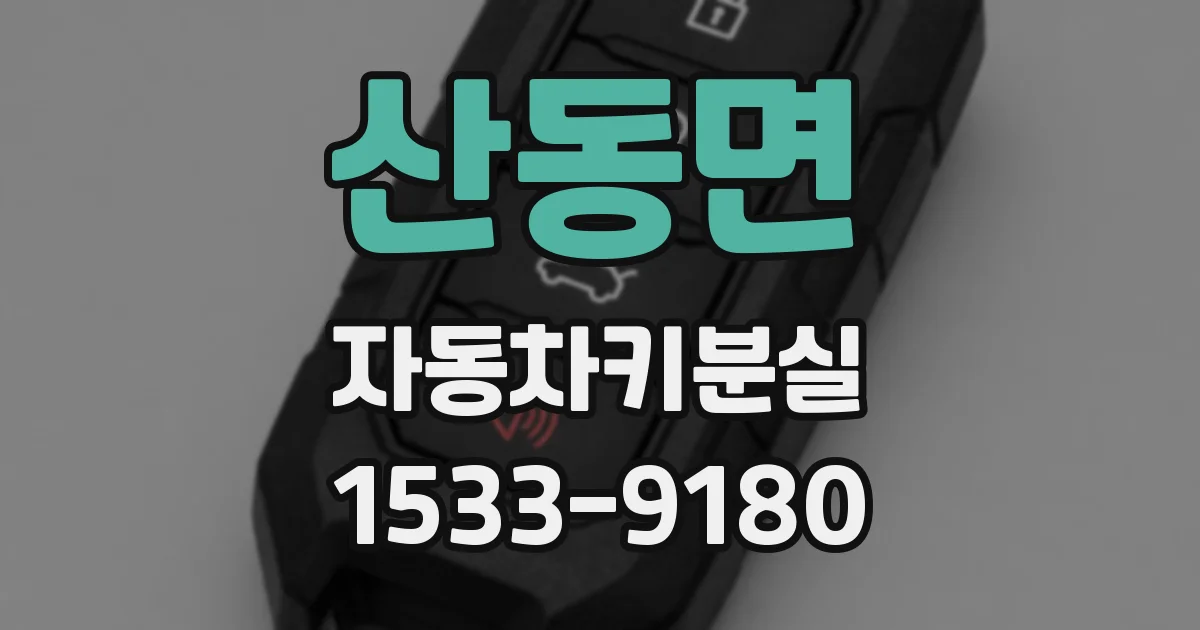 산동면 자동차키분실
