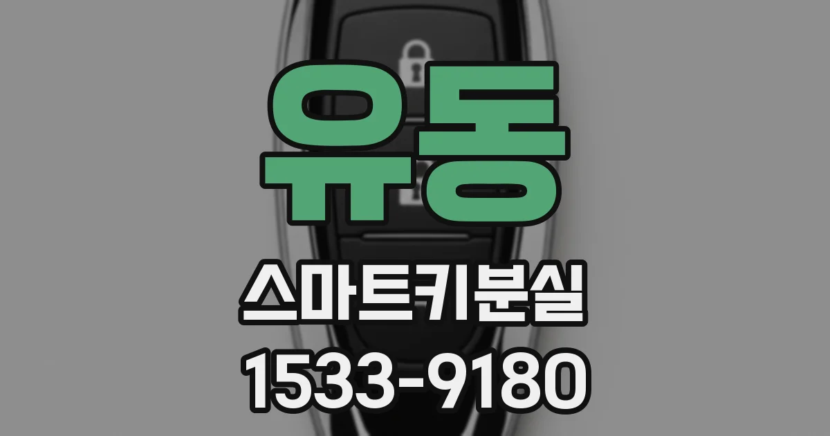 유동 스마트키분실