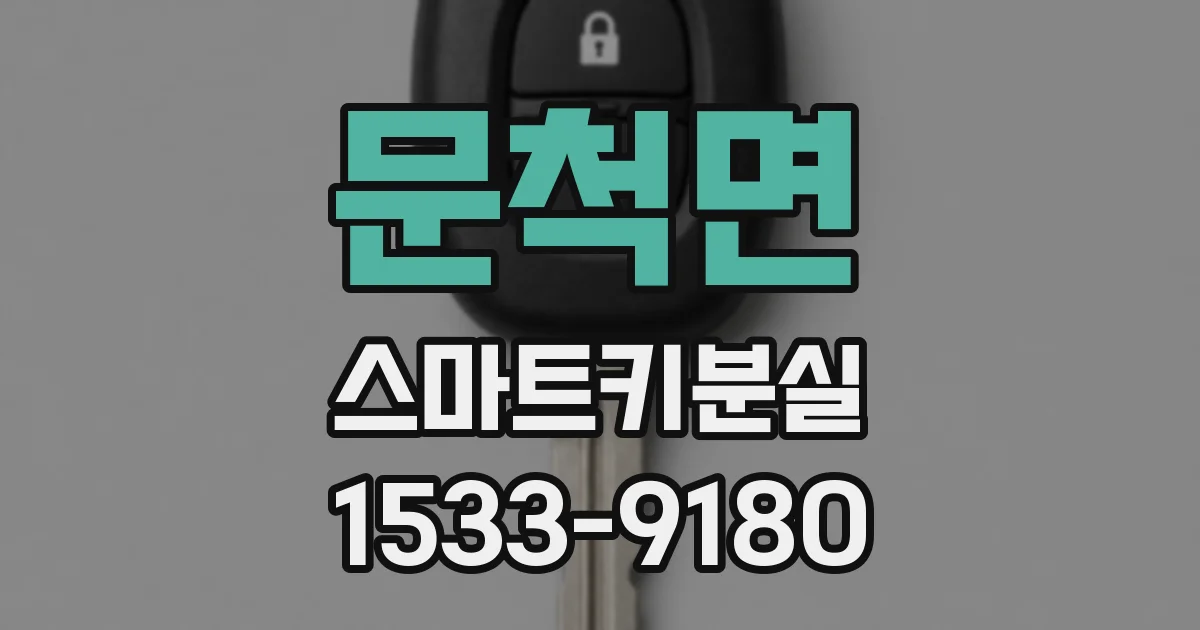 문척면 스마트키분실