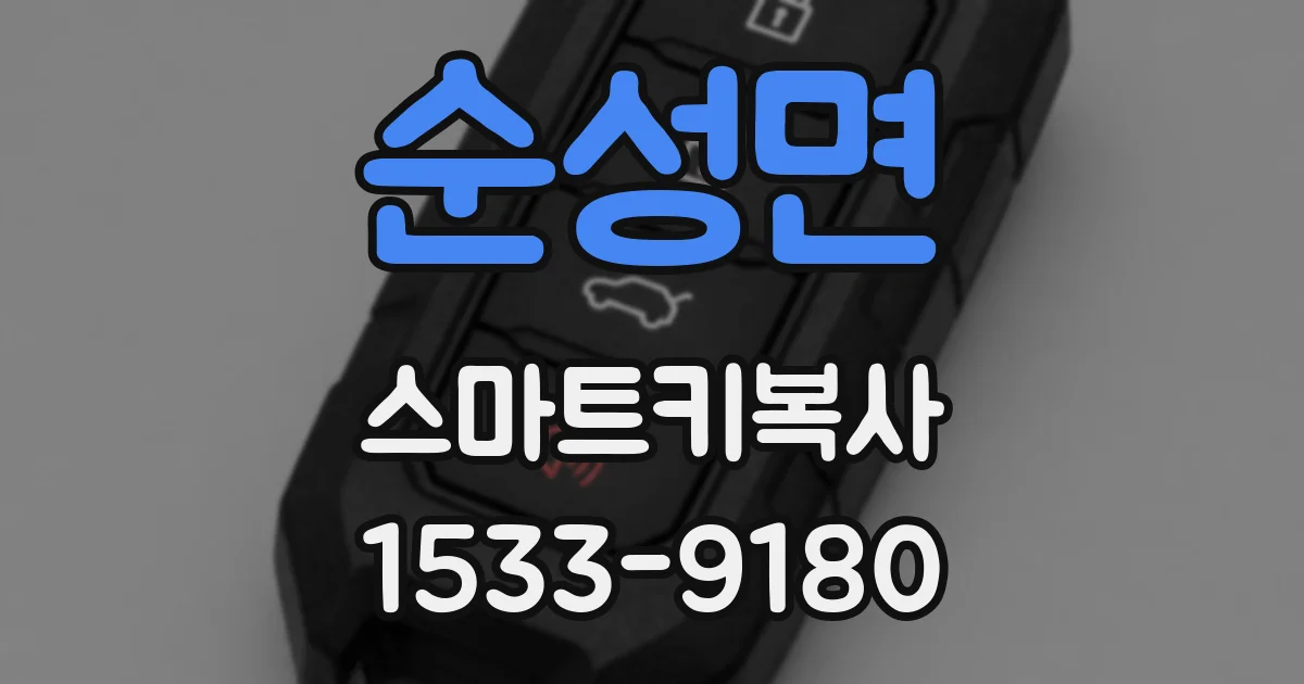 순성면 스마트키복사
