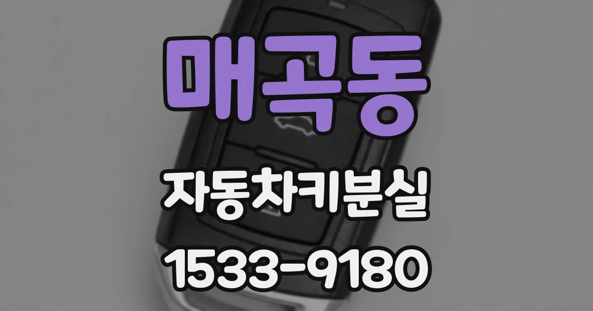 매곡동 자동차키분실