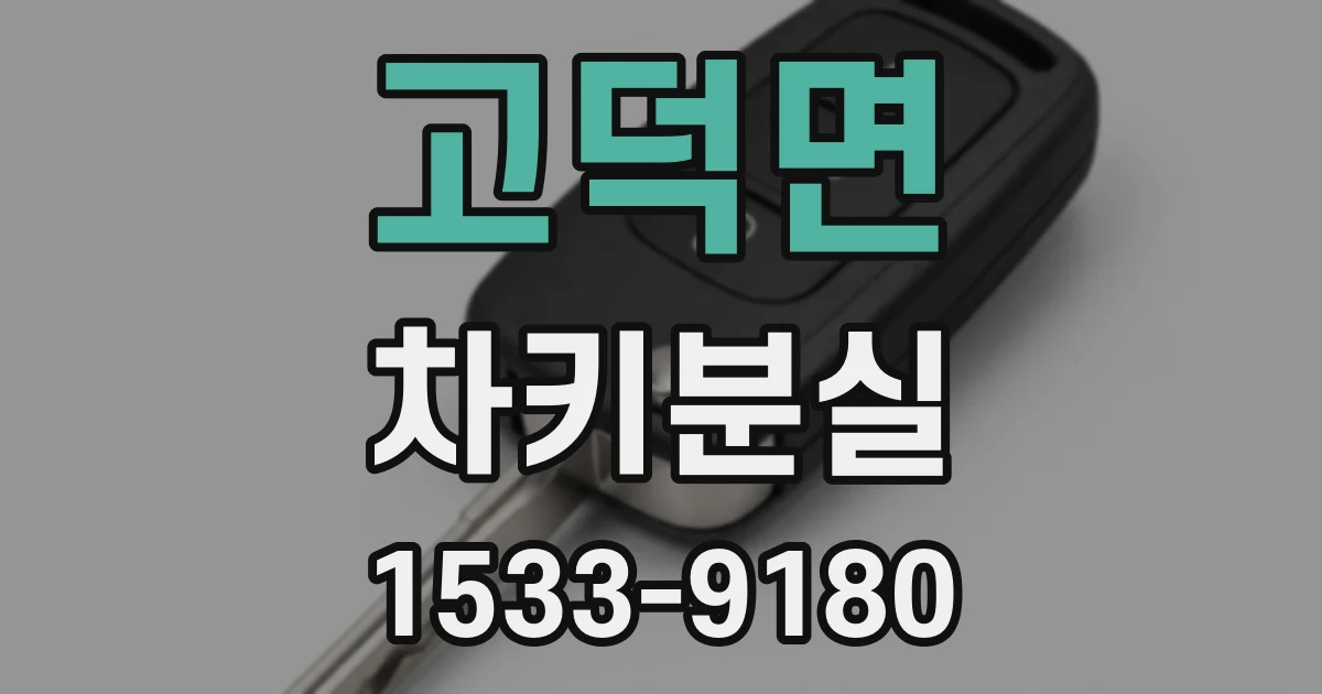 고덕면 차키분실