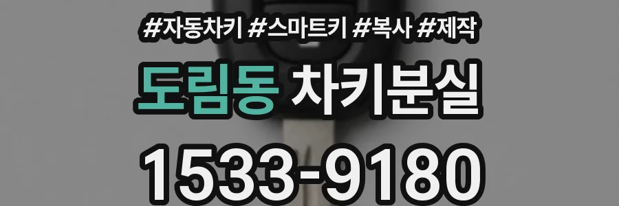 도림동 차키분실