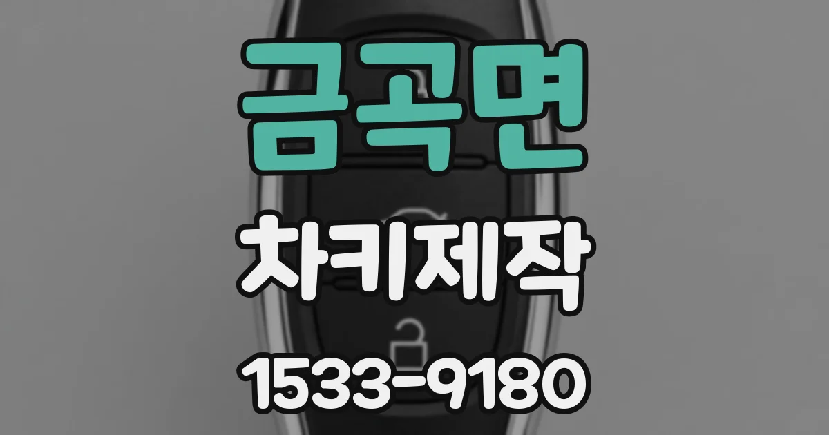 금곡면 차키제작