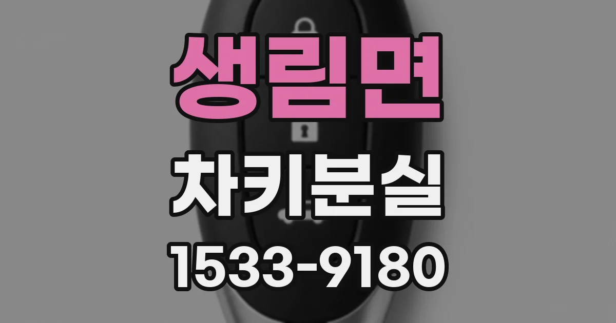 생림면 차키분실