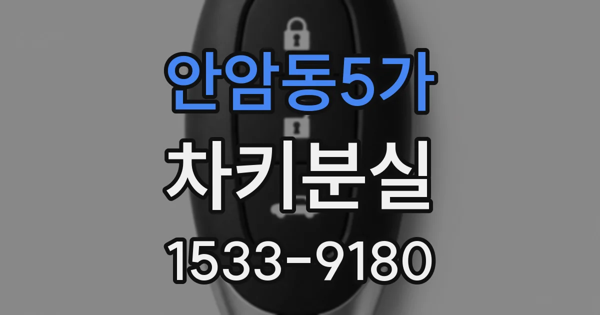 안암동5가 차키분실