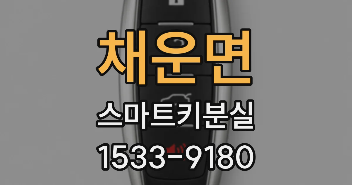채운면 스마트키분실