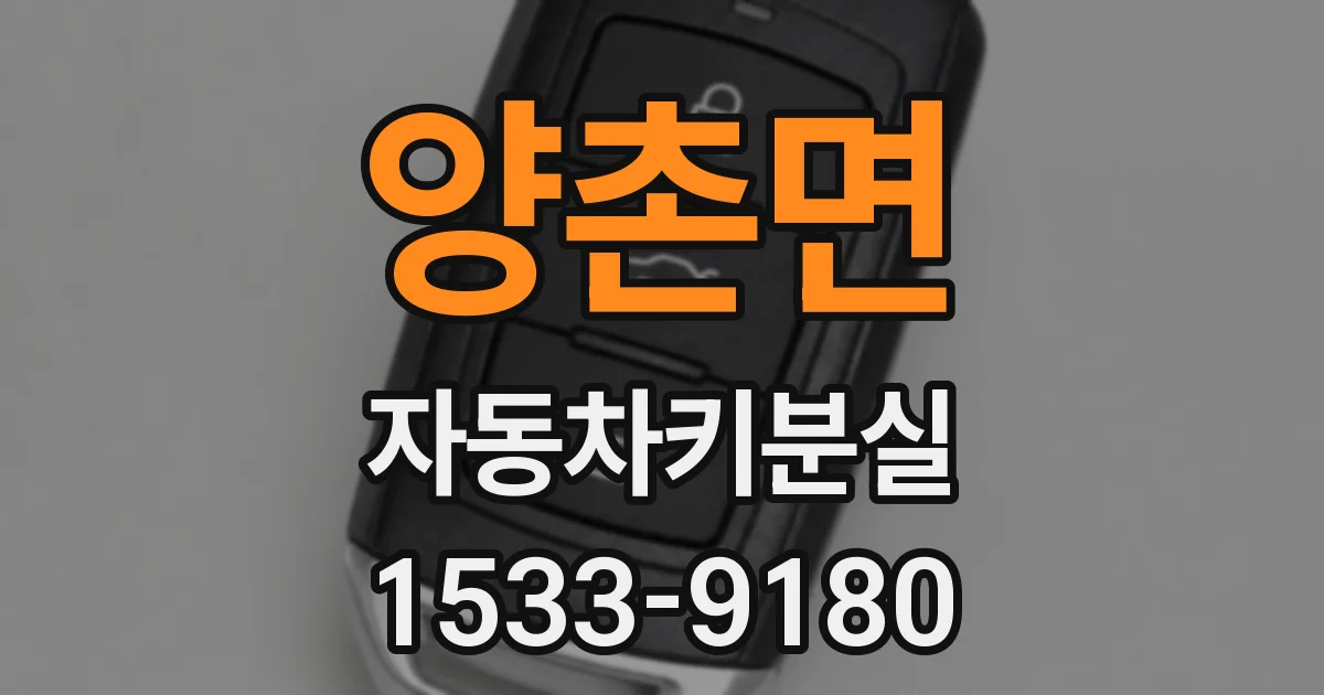 양촌면 자동차키분실