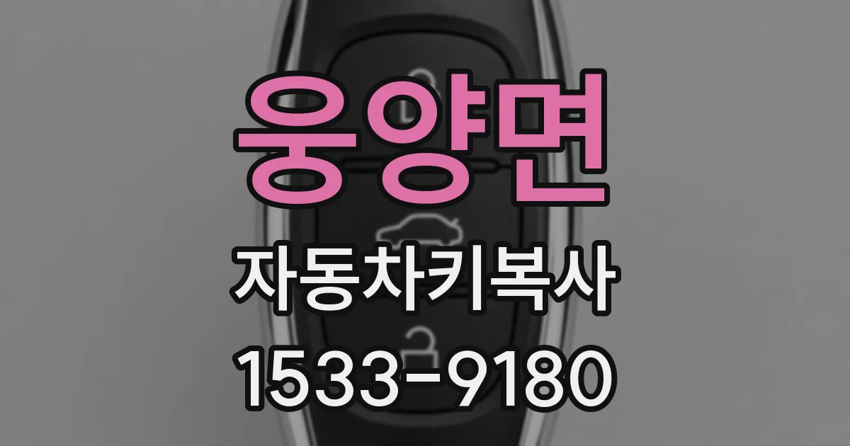 웅양면 자동차키복사