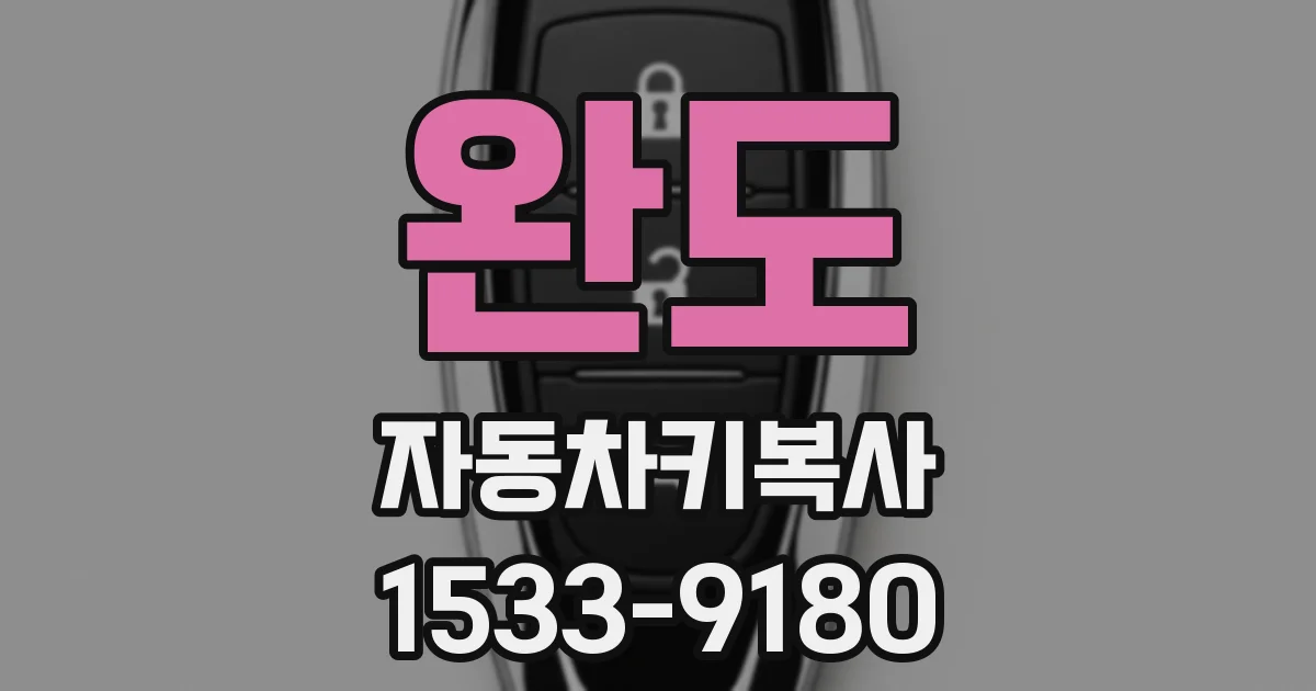 완도 자동차키복사