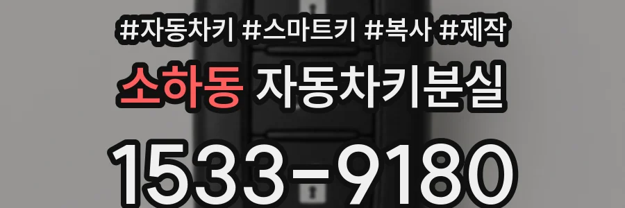 소하동 자동차키분실