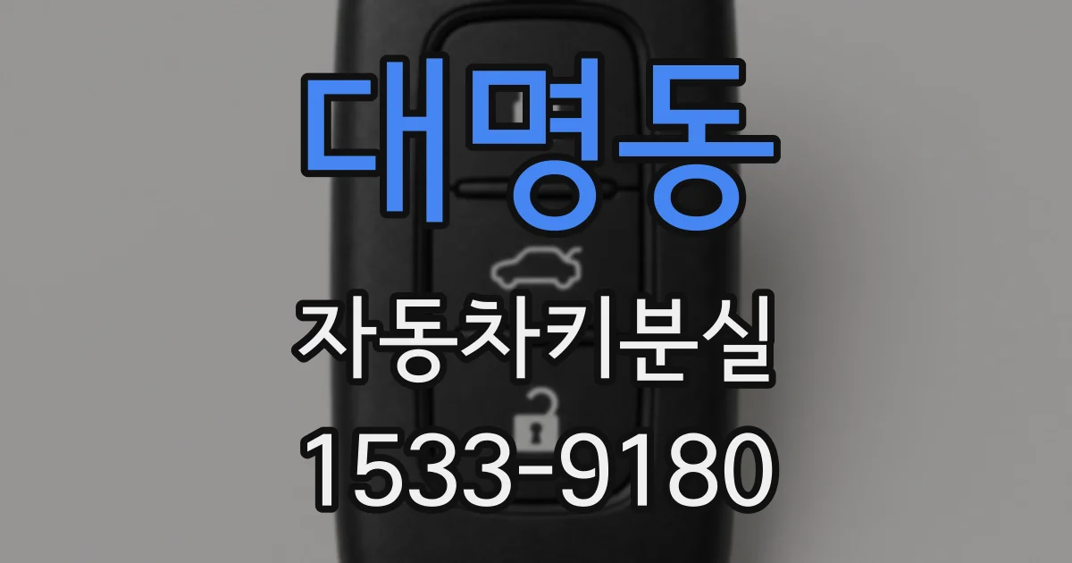 대명동 자동차키분실