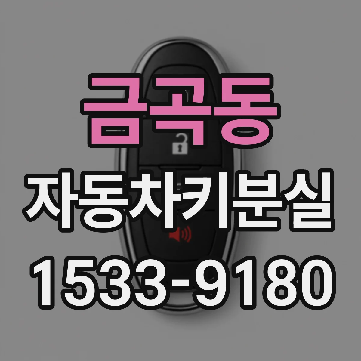금곡동 자동차키분실