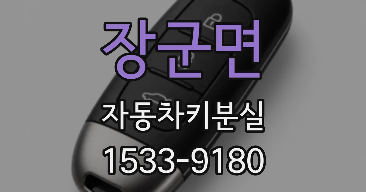 장군면 자동차키분실
