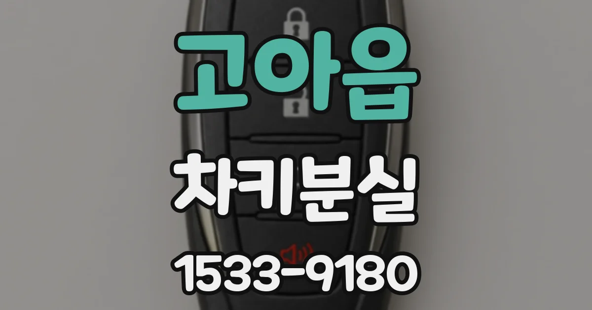고아읍 차키분실