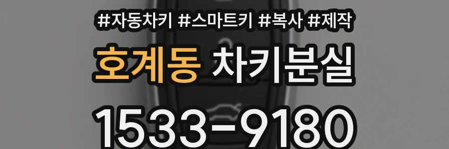 호계동 차키분실