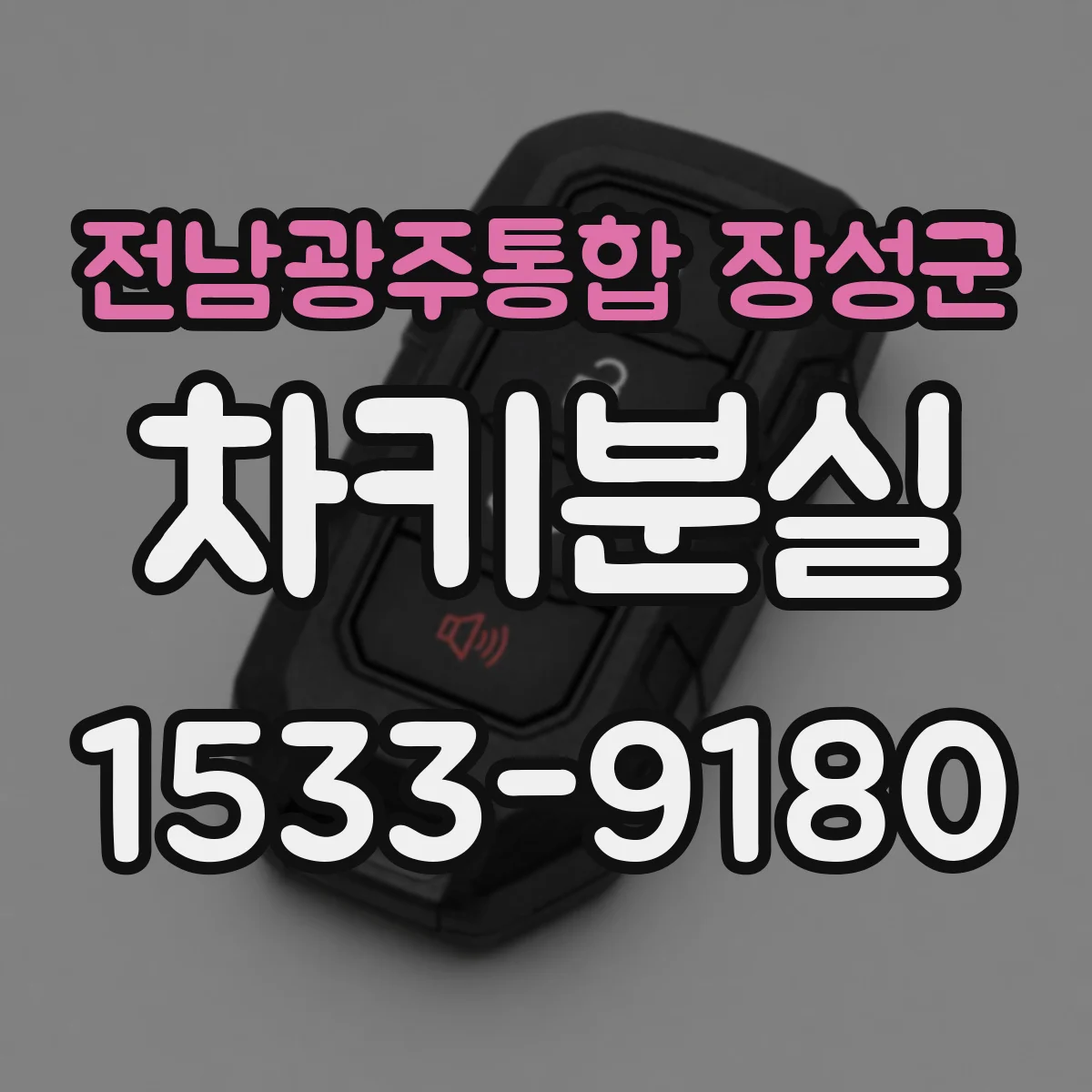전남광주통합 장성군 차키분실