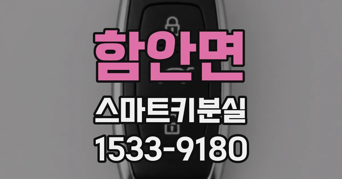 함안면 스마트키분실