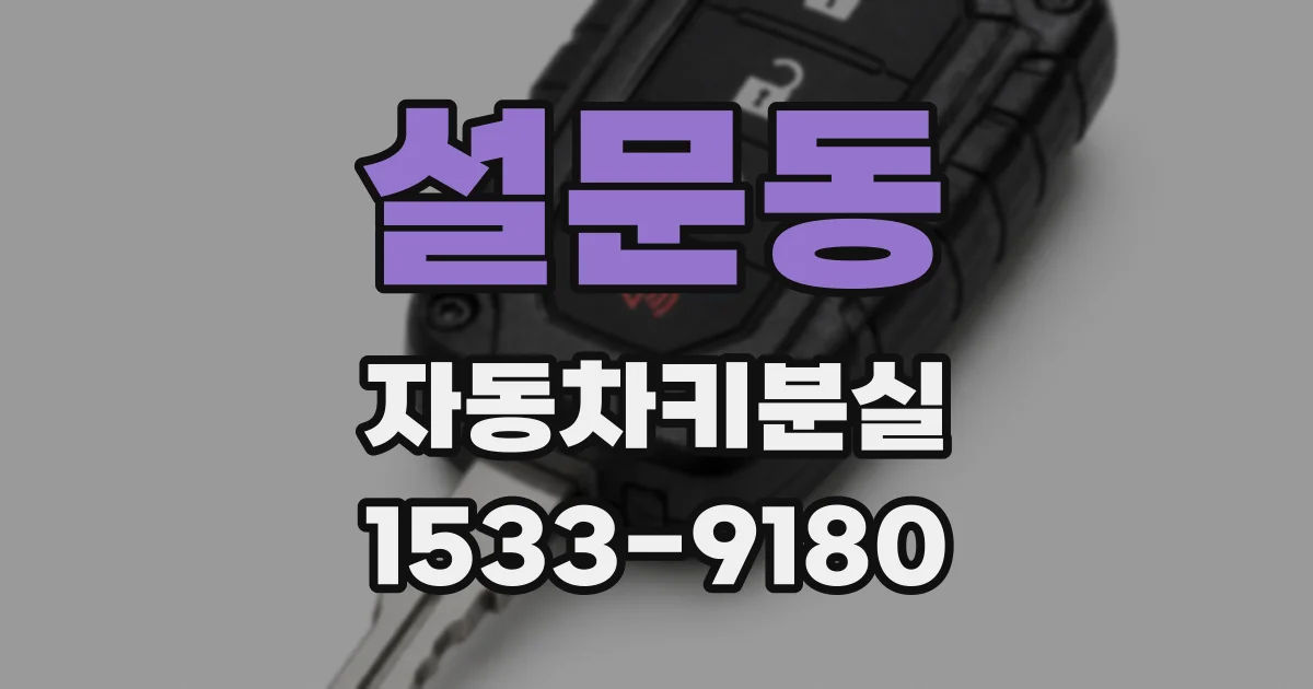설문동 자동차키분실