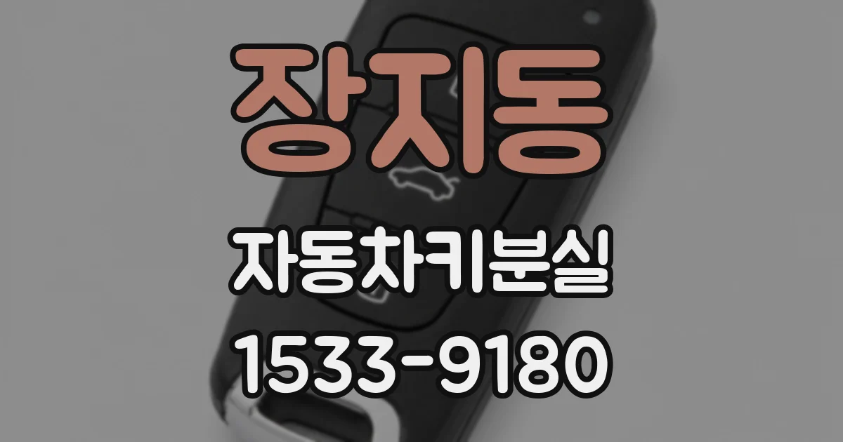 장지동 자동차키분실