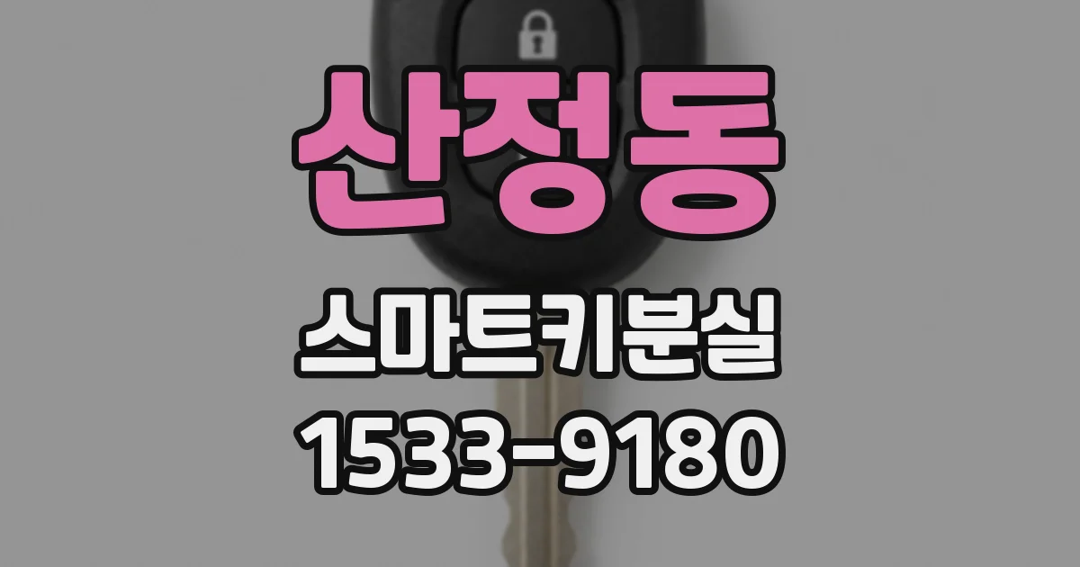 산정동 스마트키분실