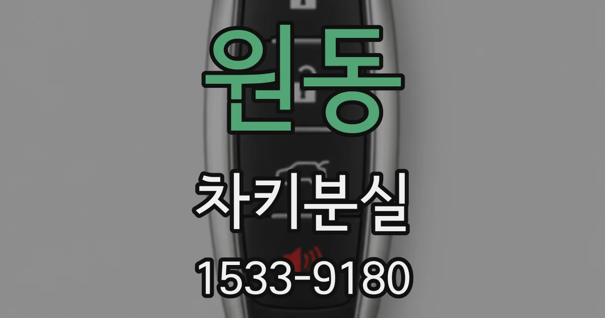 원동 차키분실