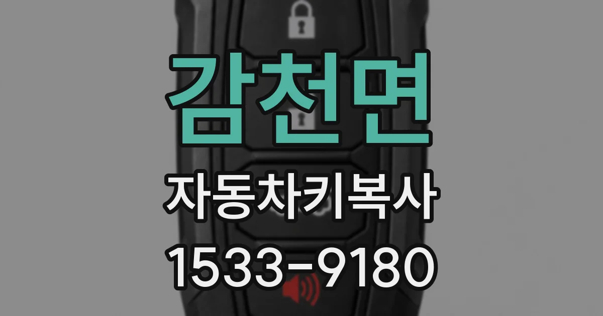 감천면 자동차키복사