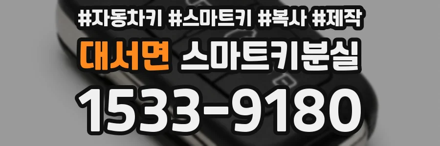 대서면 스마트키분실