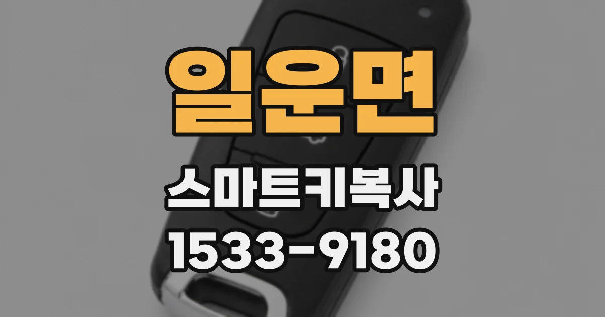 일운면 스마트키복사