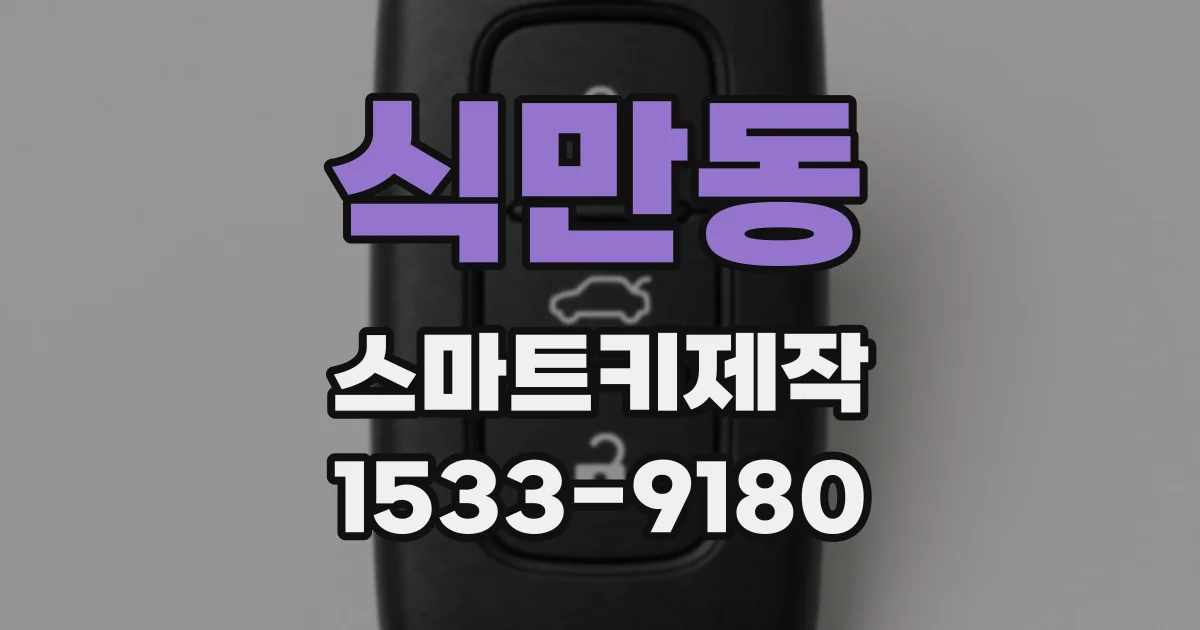 식만동 스마트키제작