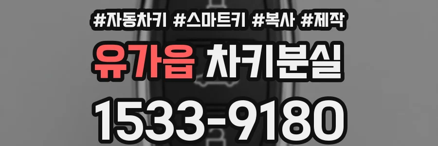 유가읍 차키분실