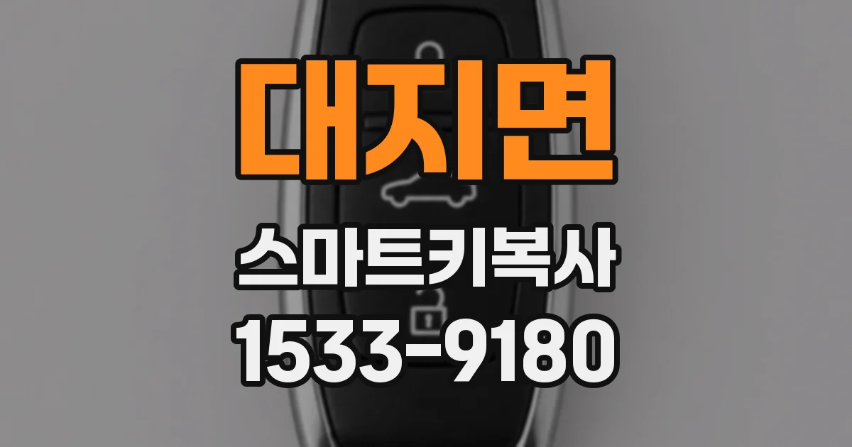 대지면 스마트키복사