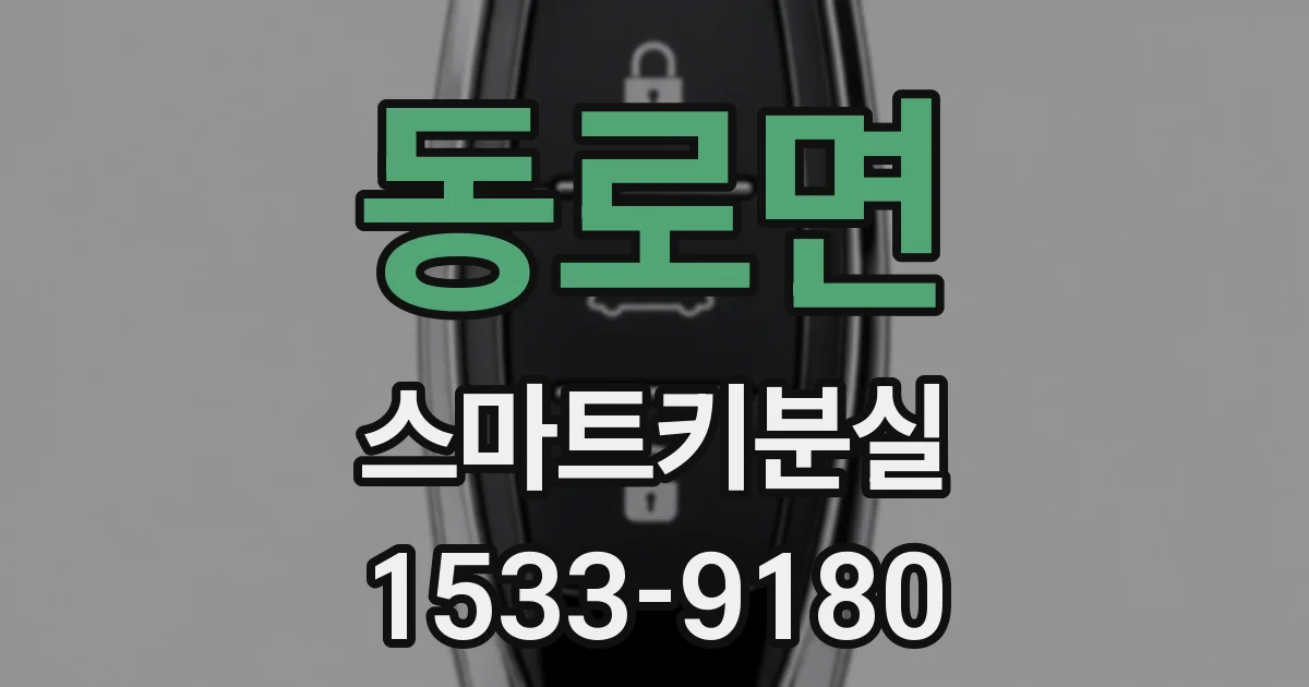동로면 스마트키분실