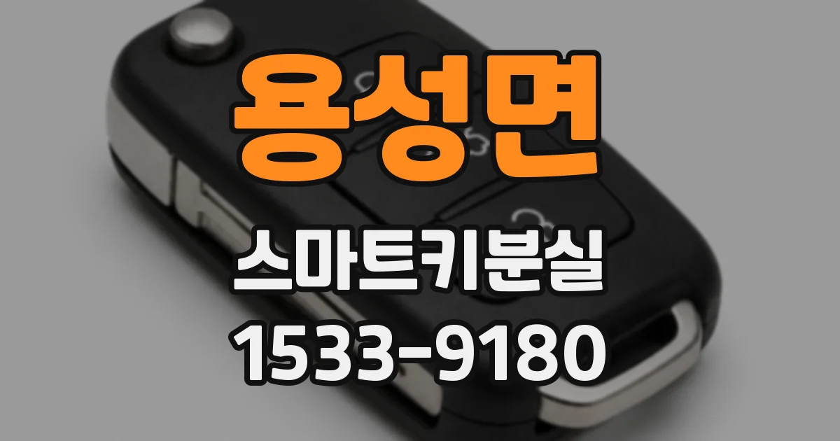 용성면 스마트키분실