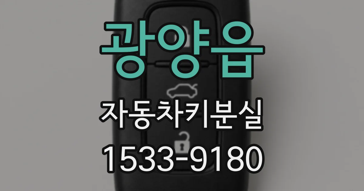 광양읍 자동차키분실