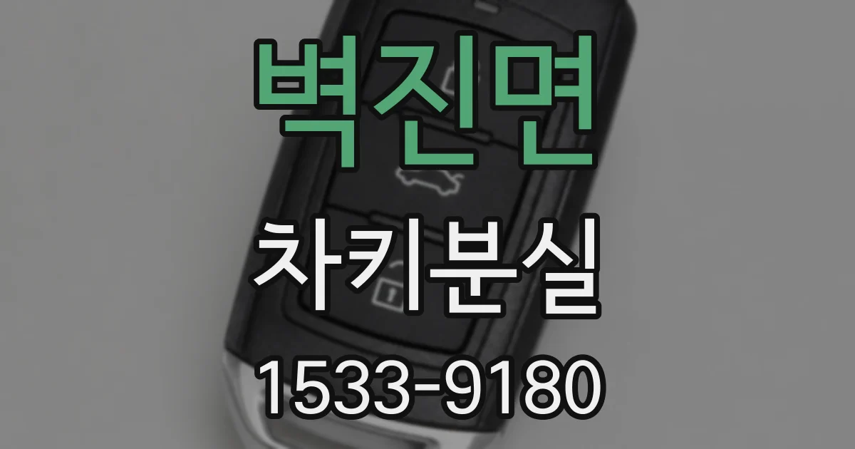 벽진면 차키분실
