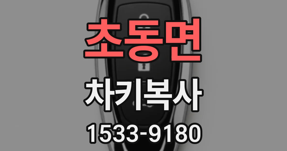 초동면 차키복사