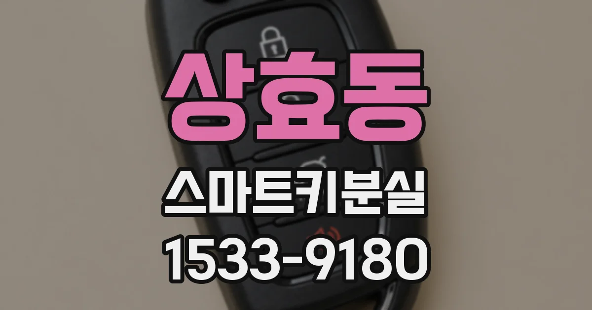 상효동 스마트키분실